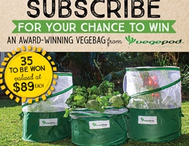 SUBSCRIBE FOR YOUR CHANCE TO WIN 1 OF 35 VEGEBAG FROM VEGEPOD!