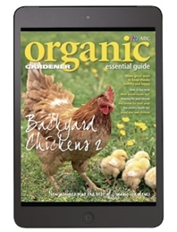 Organic Gardener Essential Guide #10 - Backyard Chicens 2 - Digital Edition